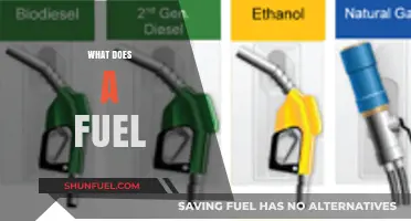 Understanding Fuel: Types, Functions, and Impact on Vehicles and Environment