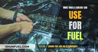 Grease Cars: An Alternative Fuel Source