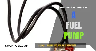 Understanding the Fuel Pump Kill Switch: Function, Safety, and Importance