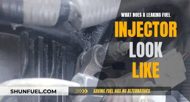 Fuel Injector Leaks: Signs and Symptoms to Watch For
