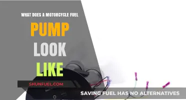 Exploring the Design and Appearance of a Motorcycle Fuel Pump