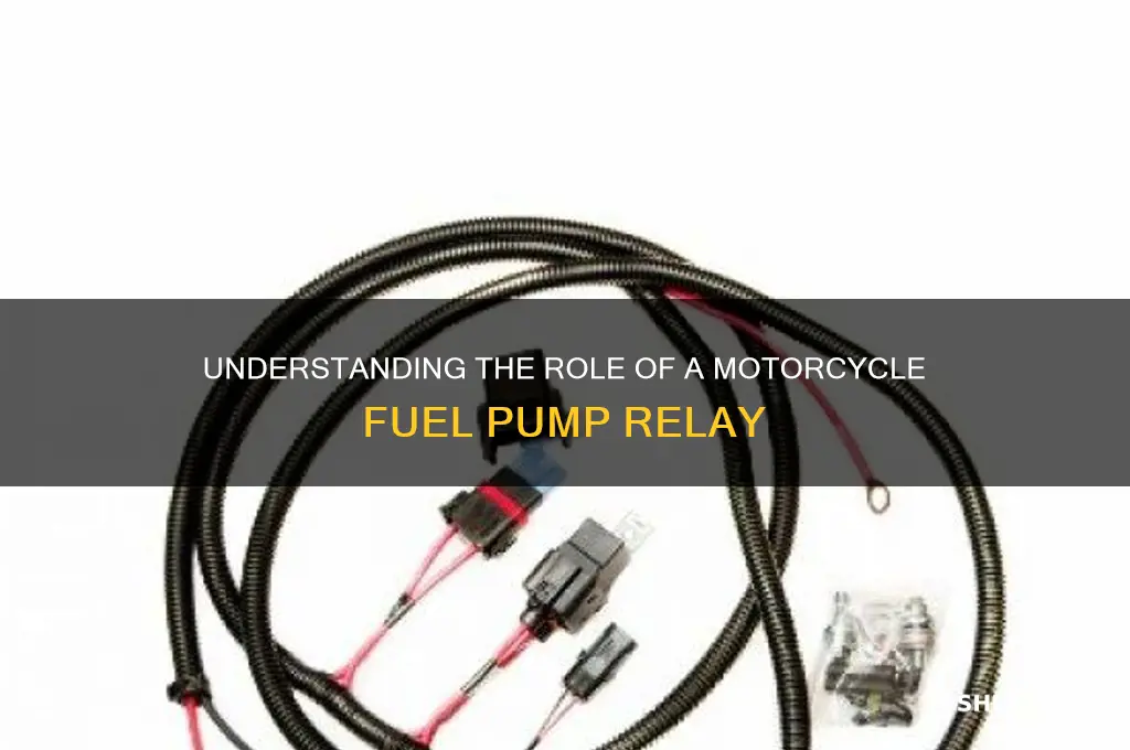 what does a motorcycle fuel pump relay do