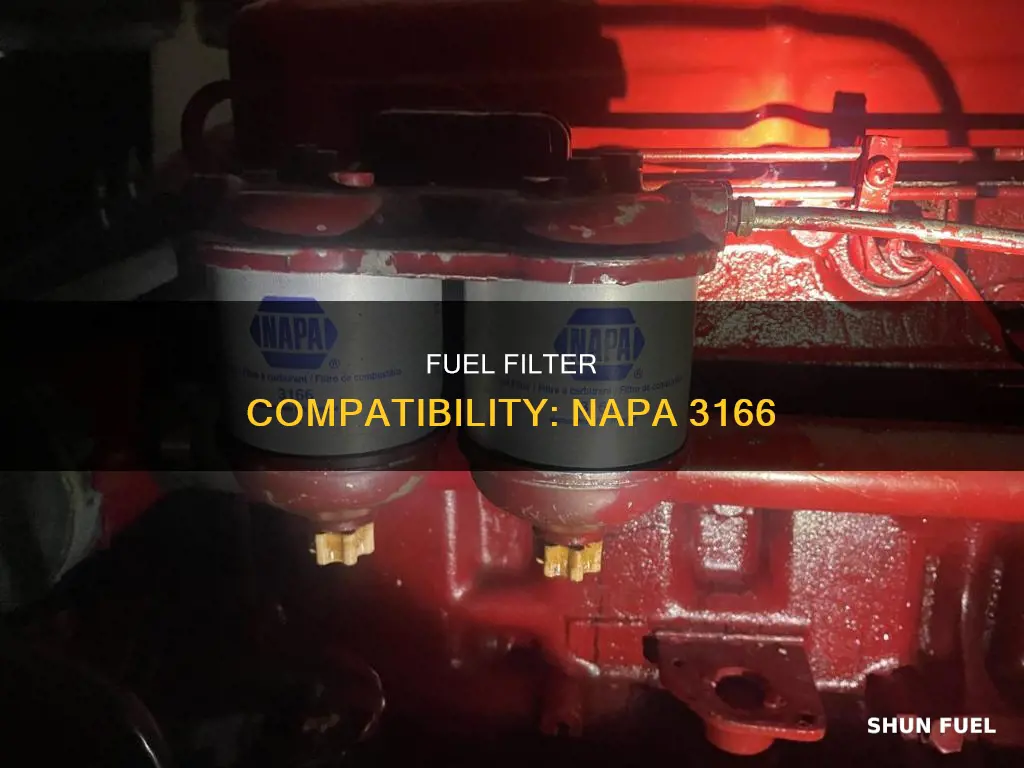 what does a napa 3166 fuel filter fit