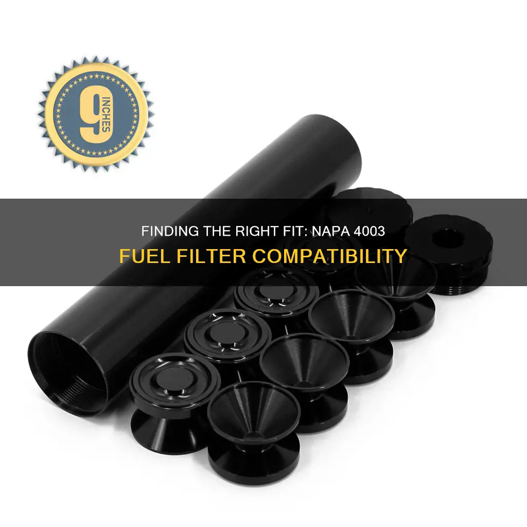 what does a napa 4003 fuel filter fit