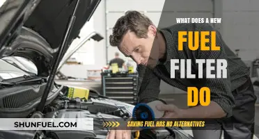 Fuel Filter Functionality: Why You Need a New One