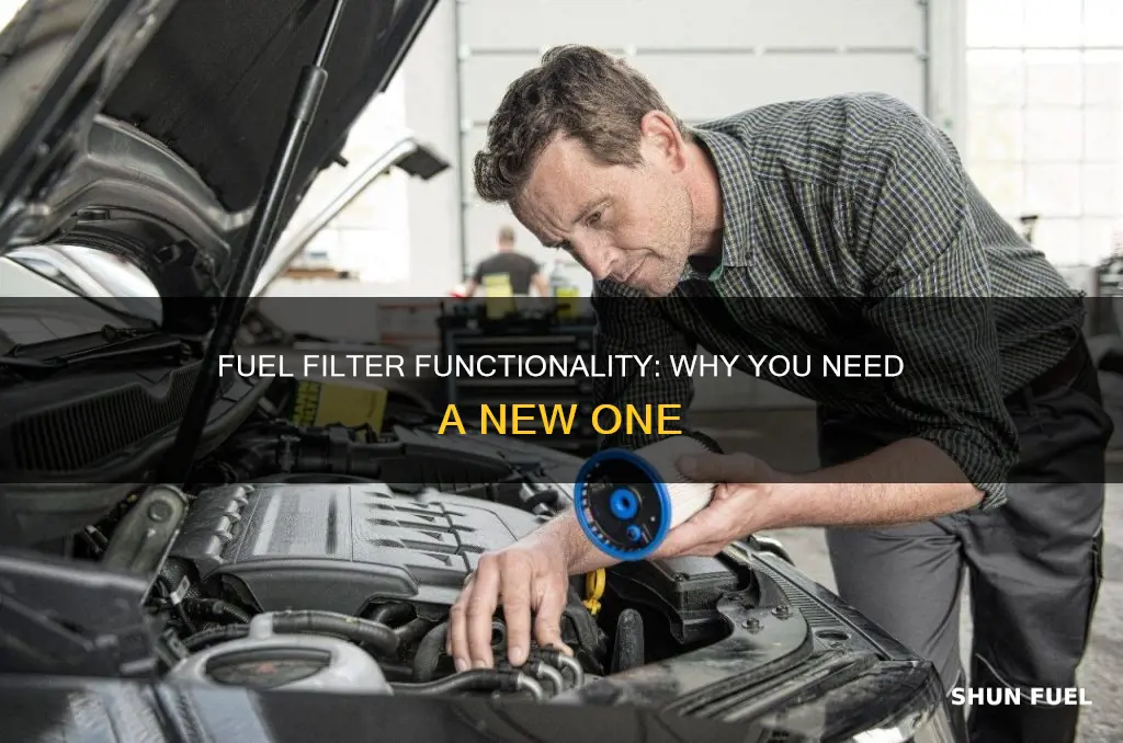 what does a new fuel filter do
