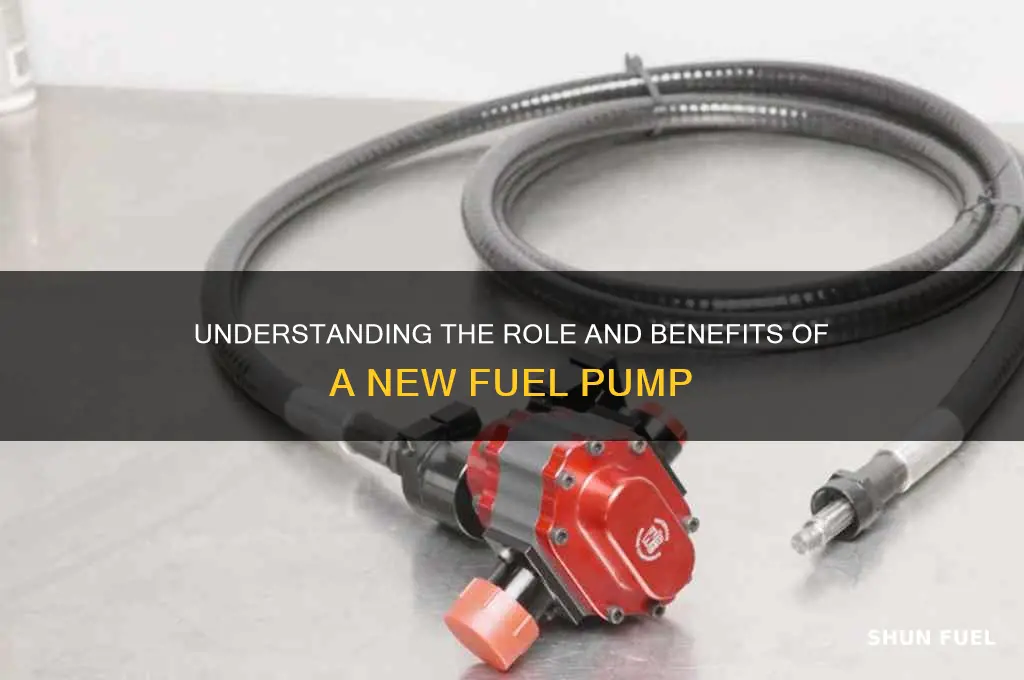 what does a new fuel pump do