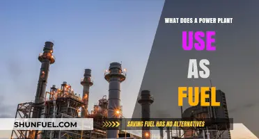 Exploring Power Plant Fuel Sources: Types, Uses, and Sustainability
