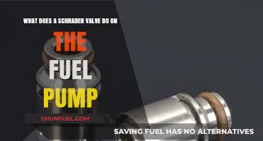 Understanding the Schrader Valve's Role in Fuel Pump Functionality