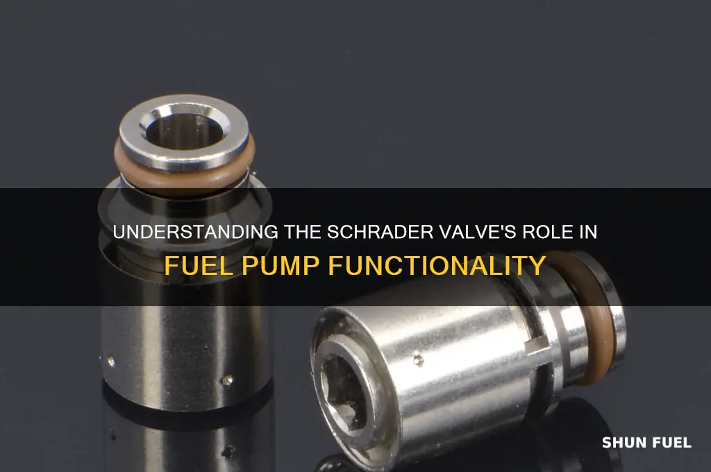 what does a schrader valve do on the fuel pump