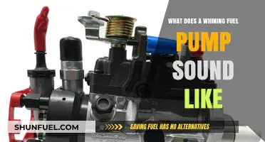 Identifying the Whining Noise: What a Failing Fuel Pump Sounds Like