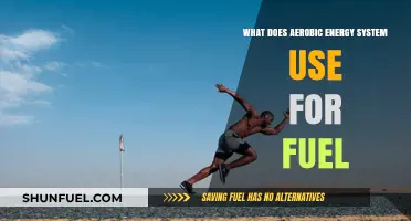 Aerobic Energy System: Fuel Sources and Optimal Performance Explained