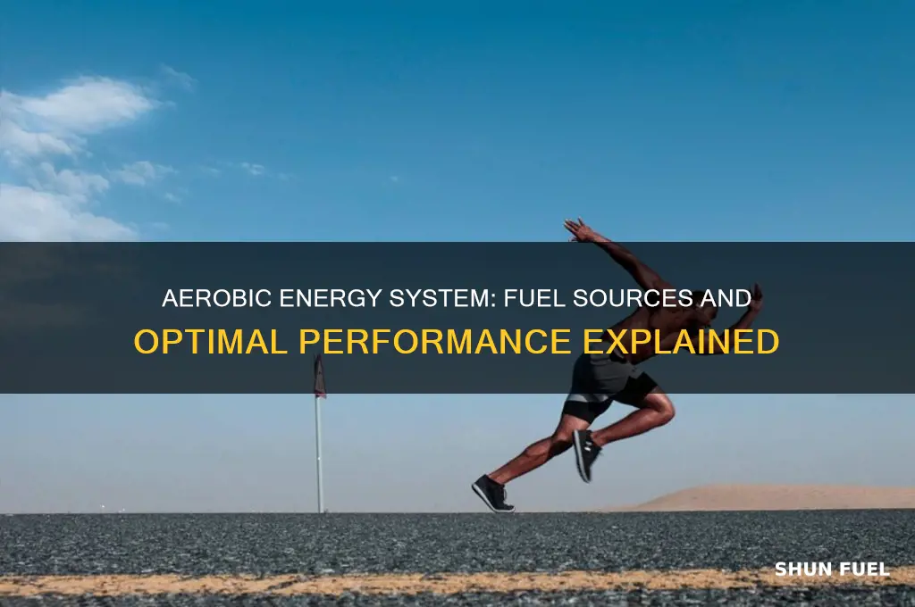 what does aerobic energy system use for fuel