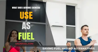 Aerobic Exercise Fuel: How Your Body Powers Endurance Workouts