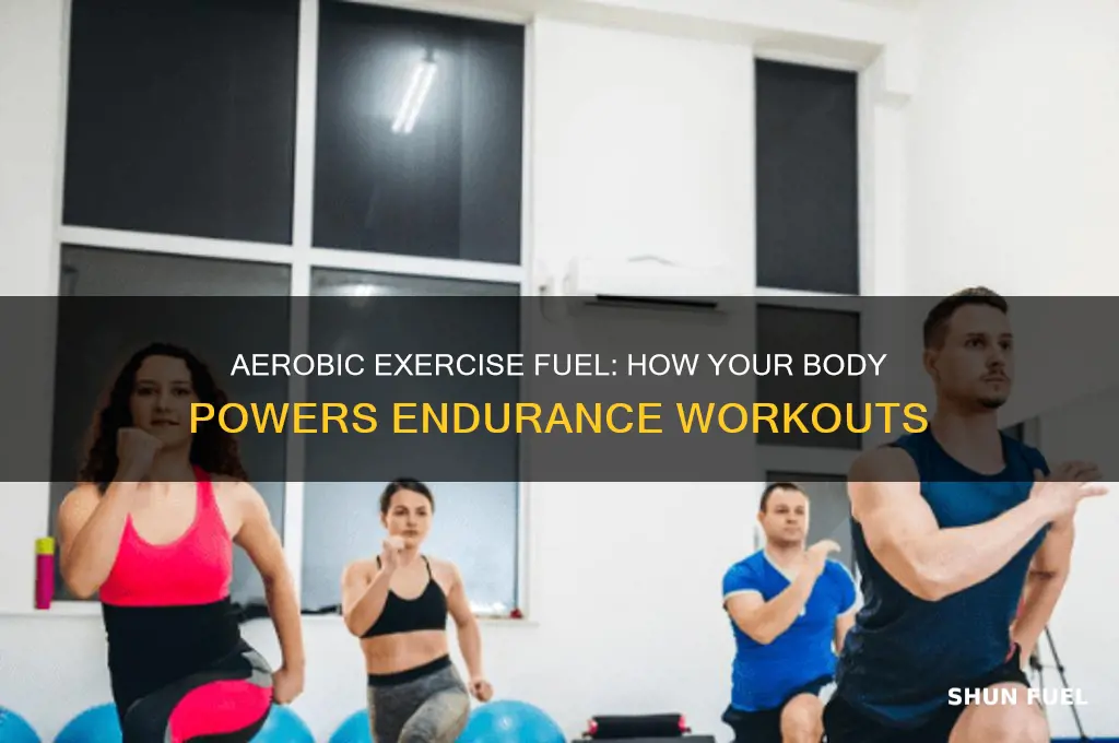 what does aerobic exercise use as fuel