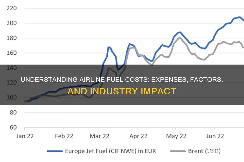 what does airline fuel cost
