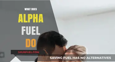 Alpha Fuel Benefits: Boosting Energy, Performance, and Recovery Explained