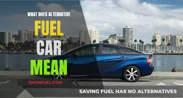 Alternative Fuel Cars: The Future of Driving