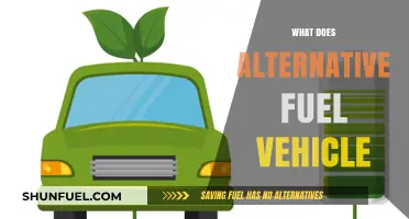 Exploring Alternative Fuel Vehicles: Eco-Friendly Transportation Options for a Greener Future