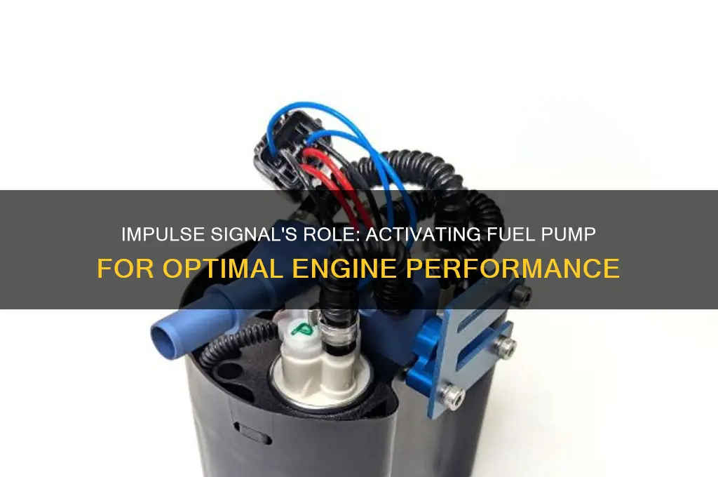 what does an impulse signal to the fuel pump do