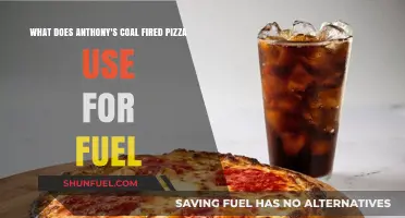 Anthony's Coal Fired Pizza: Fuel Source and Cooking Secrets Revealed