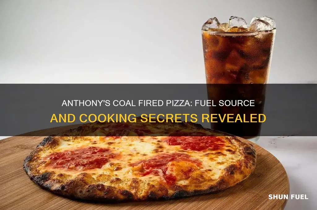 what does anthony