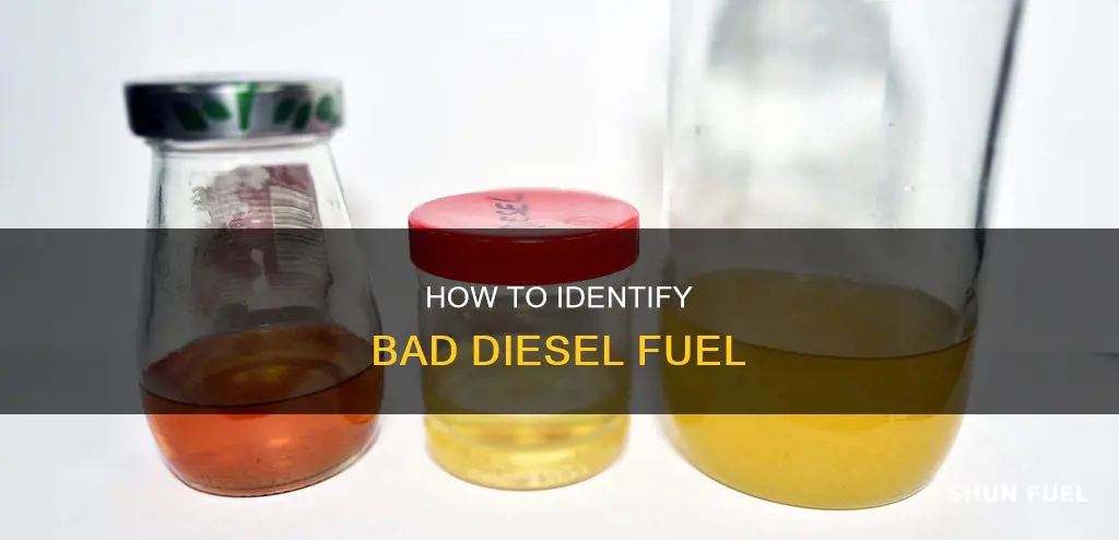 what does bad diesel fuel look like