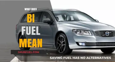Understanding Bi-Fuel Vehicles: Dual Fuel Systems Explained Simply