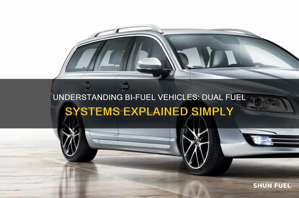 what does bi fuel mean