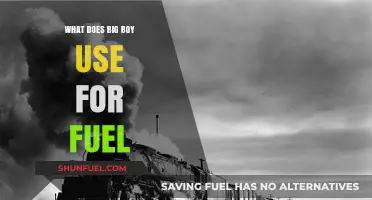 What Fuel Powers Big Boy Locomotives: A Comprehensive Guide