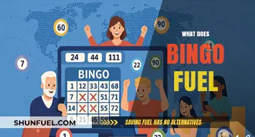 What Fuels Bingo's Popularity: Exploring the Game's Enduring Appeal
