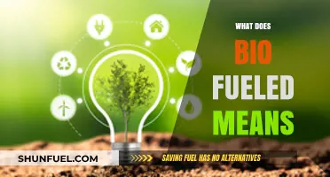 Understanding Bio-Fueled: Definition, Benefits, and Sustainable Energy Potential
