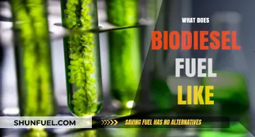 Exploring Biodiesel: What Does This Eco-Friendly Fuel Smell and Look Like?