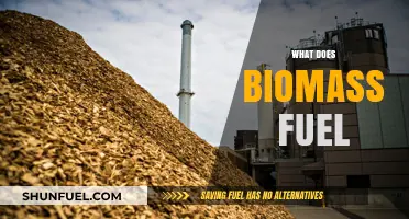 Understanding Biomass Fuel: Sustainable Energy Source and Environmental Impact
