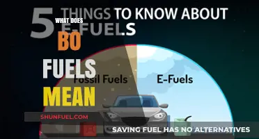 Understanding Bo Fuels: Definition, Uses, and Environmental Impact Explained