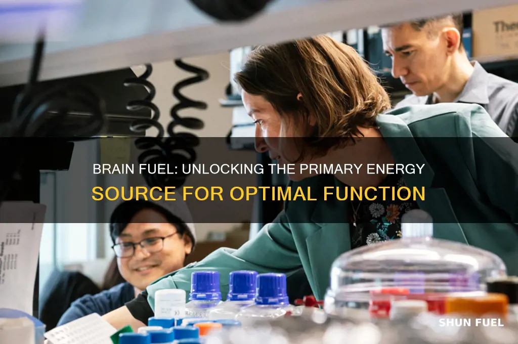 what does brain use as fuel