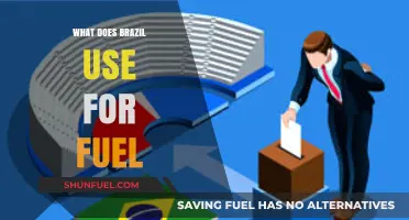 Brazil's Fuel Mix: Biofuels, Hydropower, and Fossil Furels Dominate Energy Landscape