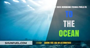 Burning Fossil Fuels: Ocean Acidification, Warming, and Ecosystem Collapse