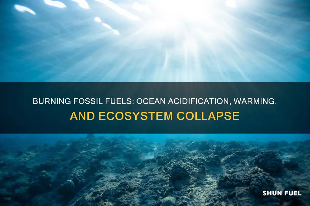 what does buringing fossils fuels fo to the ocean