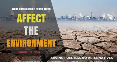 Burning Fossil Fuels: Environmental Impacts and Long-Term Consequences Explained