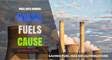 Burning Fossil Fuels: Unveiling the Devastating Environmental Consequences