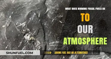 Burning Fossil Fuels: Atmospheric Impacts and Climate Change Consequences