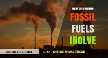 Burning Fossil Fuels: Understanding the Process and Environmental Impact