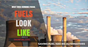 The Visible Impact: Burning Fossil Fuels and Our Planet's Future