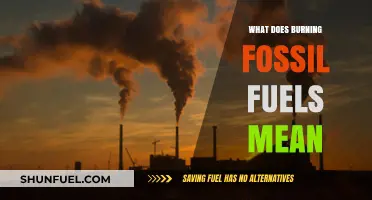 Burning Fossil Fuels: Understanding Its Impact on Climate and Environment