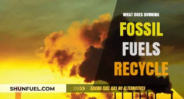 Burning Fossil Fuels: Recycling Carbon or Accelerating Climate Crisis?