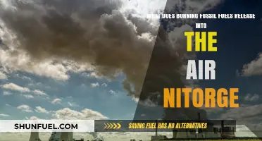The Dark Side of Fossil Fuels: Nitrogen's Impact
