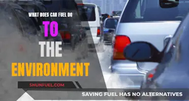 Car Fuel's Environmental Impact: What You Need to Know