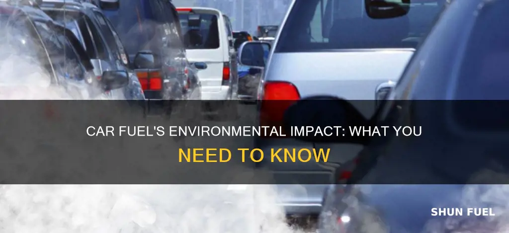 what does car fuel do to the environment