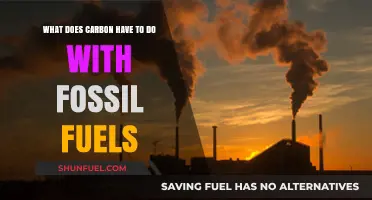 Carbon's Role in Fossil Fuels: Unraveling the Energy Connection